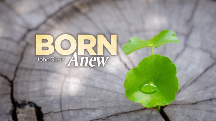 Letting God: Born Anew